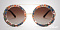 Солнцезащитные очки Dolce & Gabbana DG 2198 02/maiolica