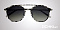 Солнцезащитные очки Sting SS 4902 GEG