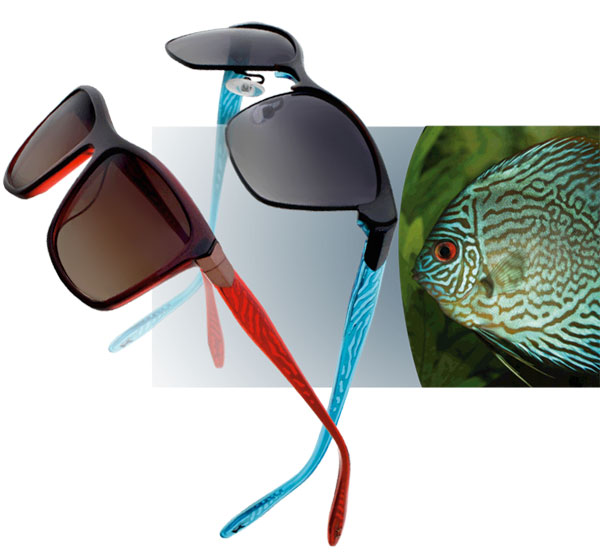 Самые яркие оптические новинки для вас! 11