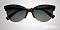 Солнцезащитные очки Trussardi STR 019 2AB