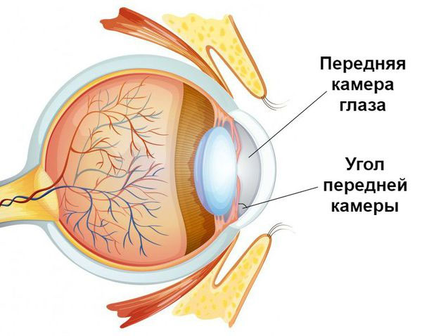 Glaukoma-1.jpg